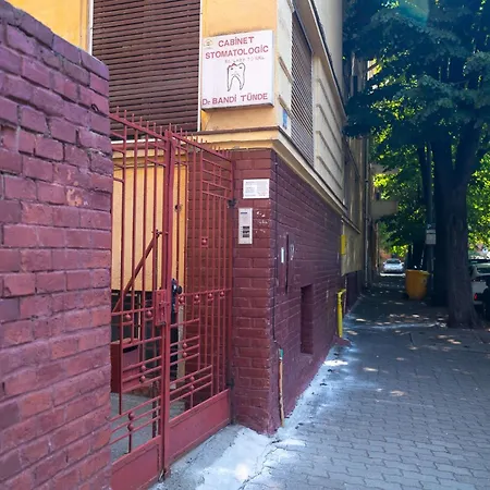 Joy Stylish Urban * Τιμισοάρα