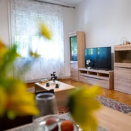Joy Stylish Urban Apartment