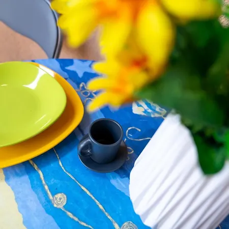 Joy Stylish Urban شقة تيميشورا