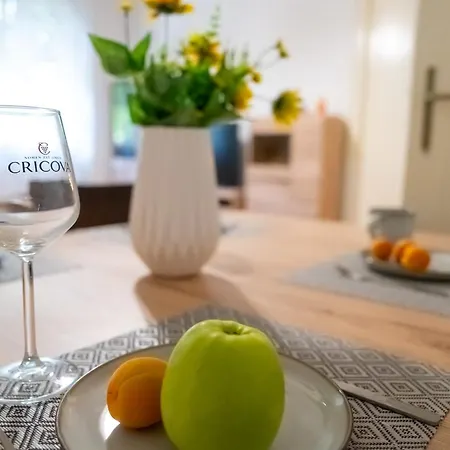 Joy Stylish Urban شقة *