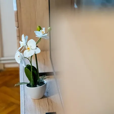 Joy Stylish Urban Apartment