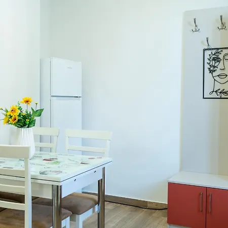 Joy Stylish Urban Apartment Timisoara
