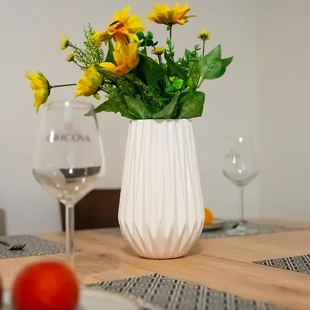 Joy Stylish Urban تيميشورا