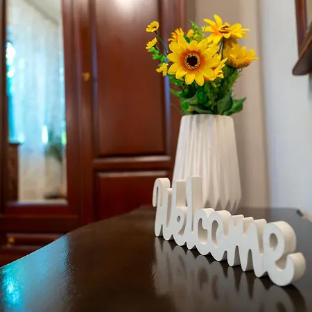 Joy Stylish Urban * تيميشورا