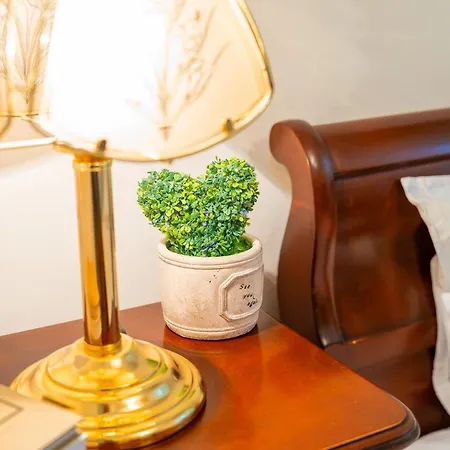 شقة Joy Stylish Urban تيميشورا