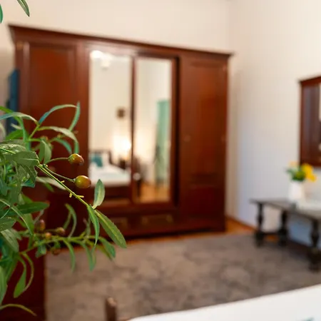 Joy Stylish Urban تيميشورا