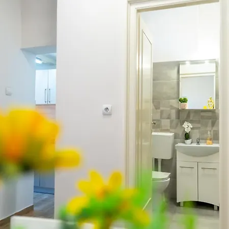 Joy Stylish Urban شقة تيميشورا