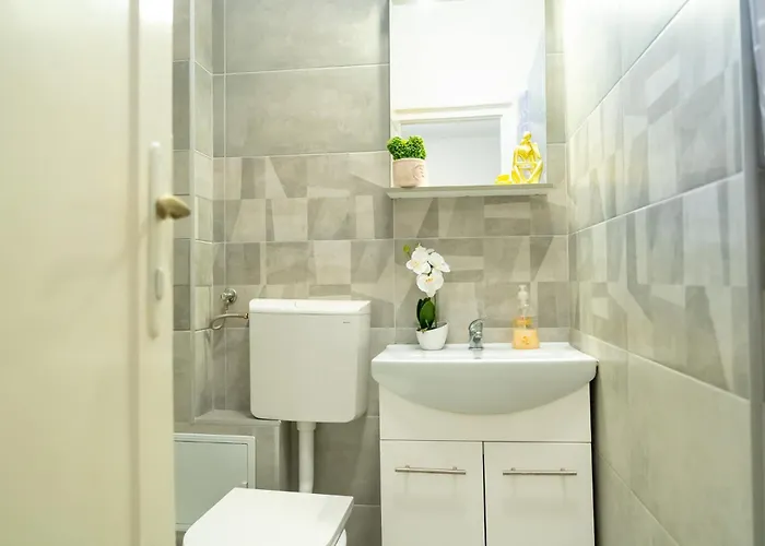 Joy Stylish Urban * Τιμισοάρα