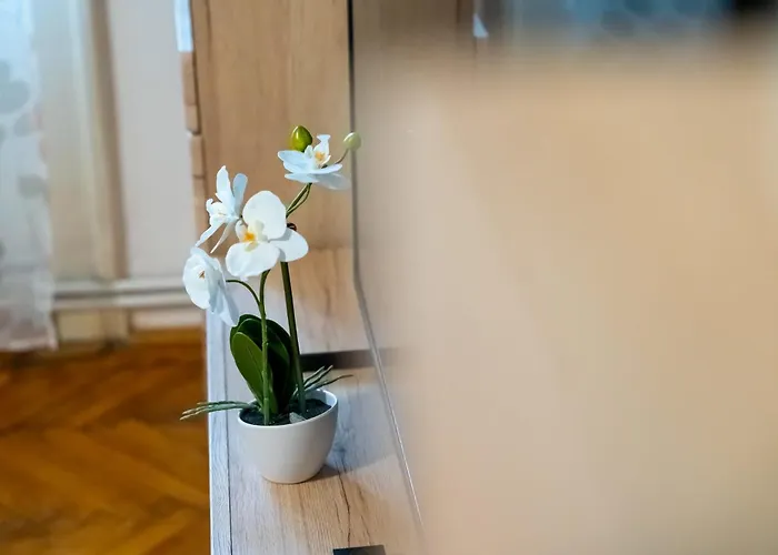 Joy Stylish Urban Lägenhet