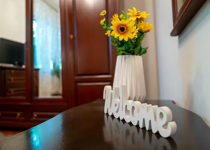 Joy Stylish Urban * Τιμισοάρα