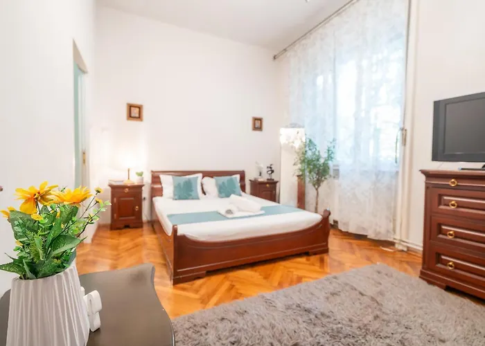 Joy Stylish Urban * Τιμισοάρα