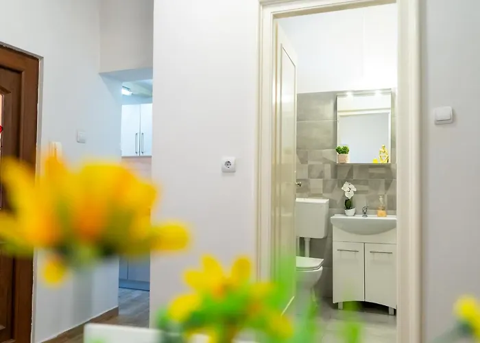 Joy Stylish Urban Lägenhet Timişoara