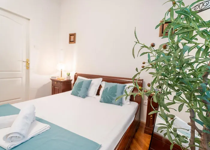 Joy Stylish Urban * Τιμισοάρα