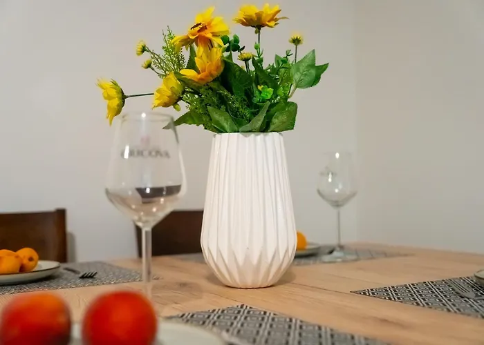 Joy Stylish Urban טימישוארה