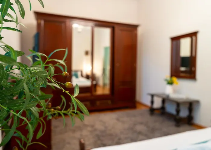 Joy Stylish Urban טימישוארה